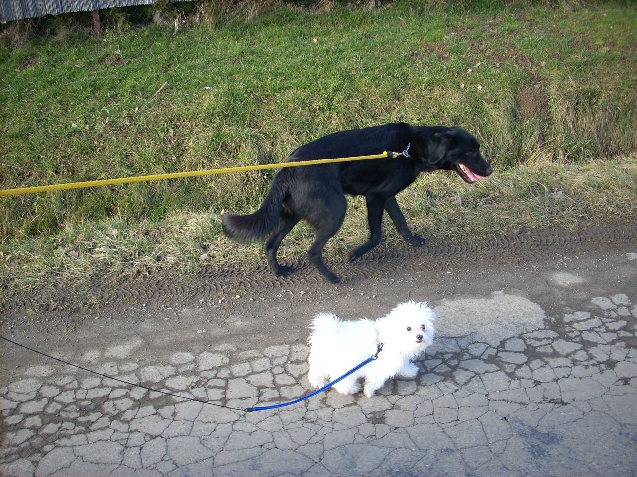 Mandy & Meggie.JPG